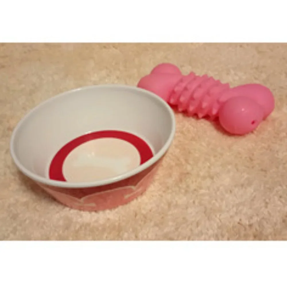 VGUC ~ Martha Stewart Pets Non-Slip Dog Food Bowl + Rubber Squeaky Bone Dog Toy